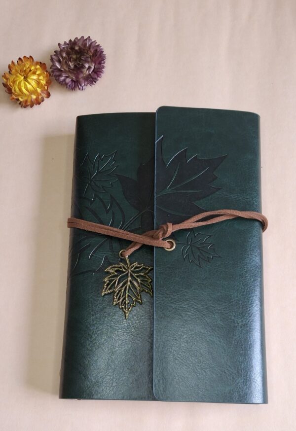 20251119_130034 Verde oscuro