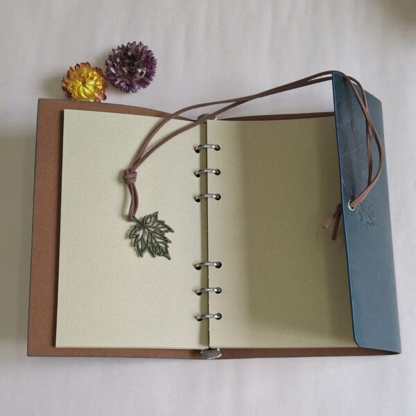 20251119_130112 Verde oscuro